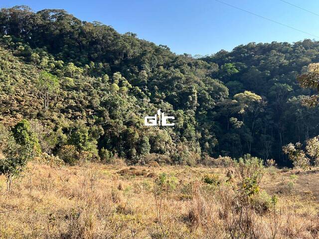 #TE0019 - Terreno para Venda em São Bento do Sapucaí - SP - 2